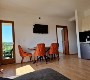 Ime Ruze apartmani Banja Vrujci
